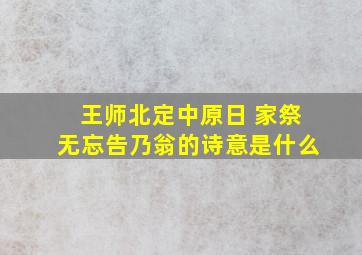 王师北定中原日 家祭无忘告乃翁的诗意是什么